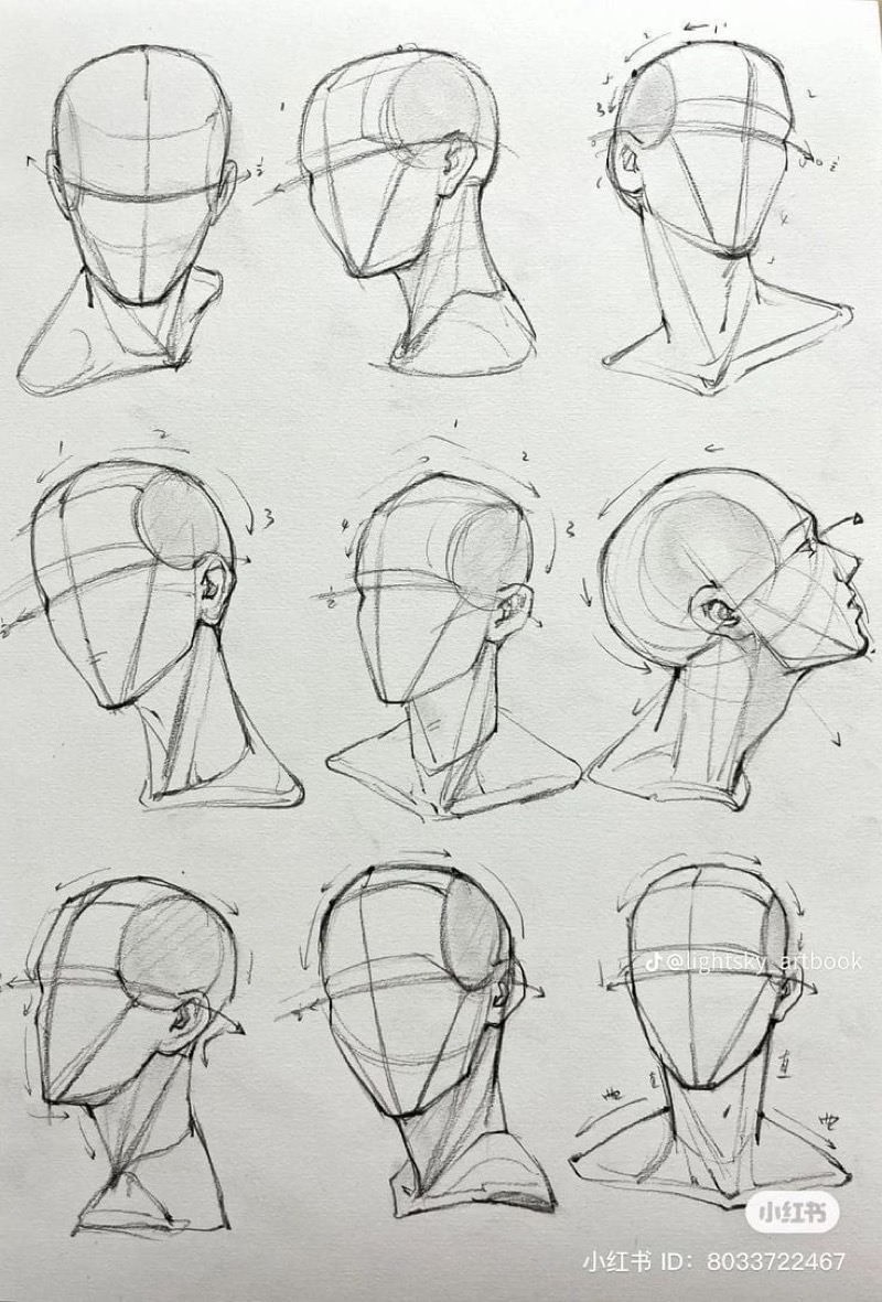 Face and neck drawing